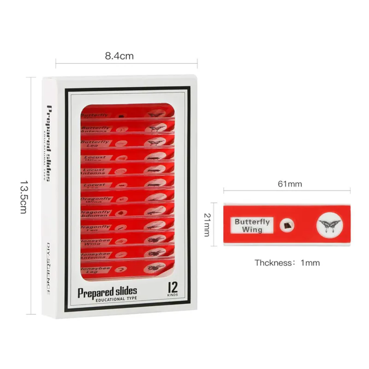 Zoomy™ 2in1 Mikroszkóp és Teleszkóp